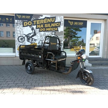 Leramotors Cargo G1 1000W...